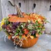 Pompoen bloemstuk (c) Welke.nl
