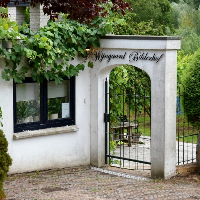 Rondleiding en wijnproeverij Bilderhof (17 mei)