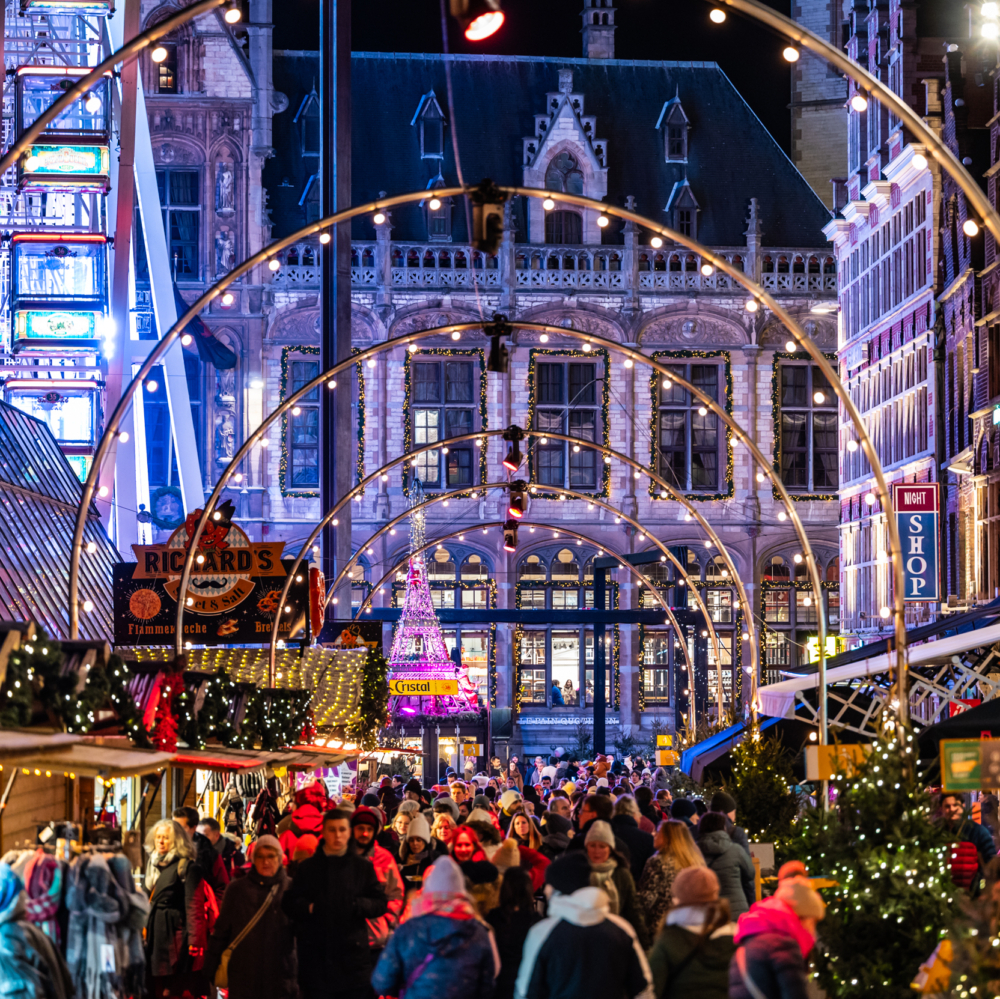 sdinneweth.be copyright